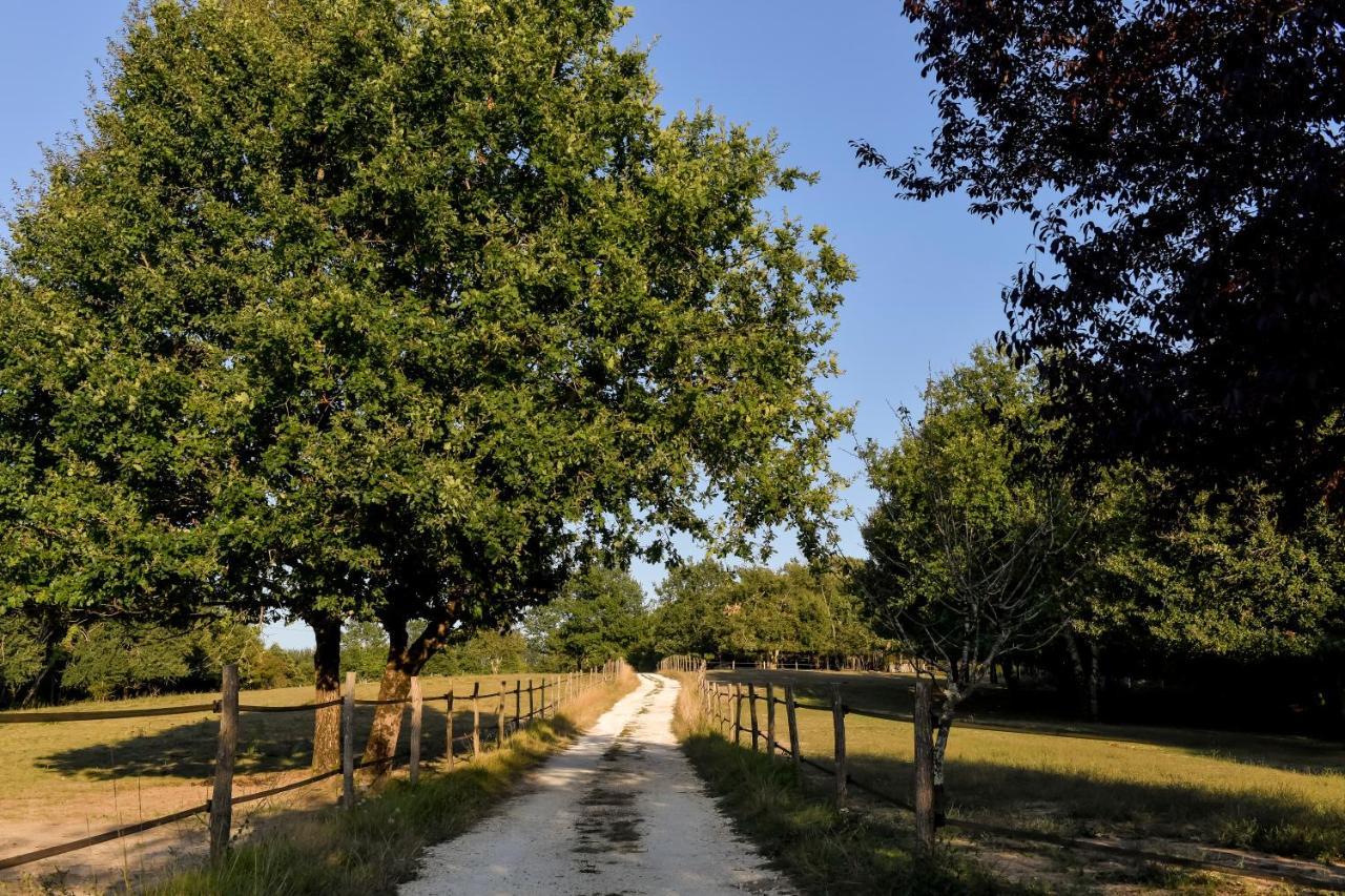 Domaine verte vallée Lignan-de-Bordeaux Buitenkant foto